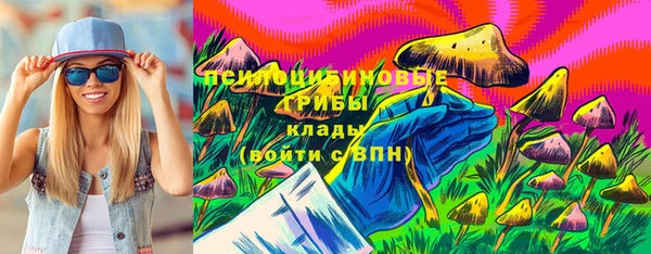амф Абаза