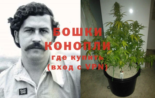 PSILOCYBIN Абинск